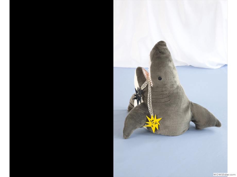 Style con Bravura 03